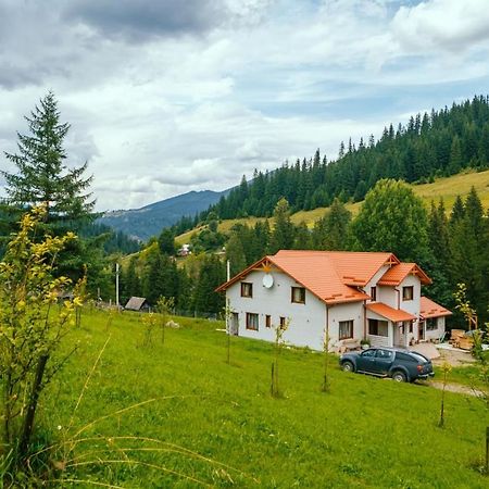 Khata Lisnyka Verkhovyna Esterno foto