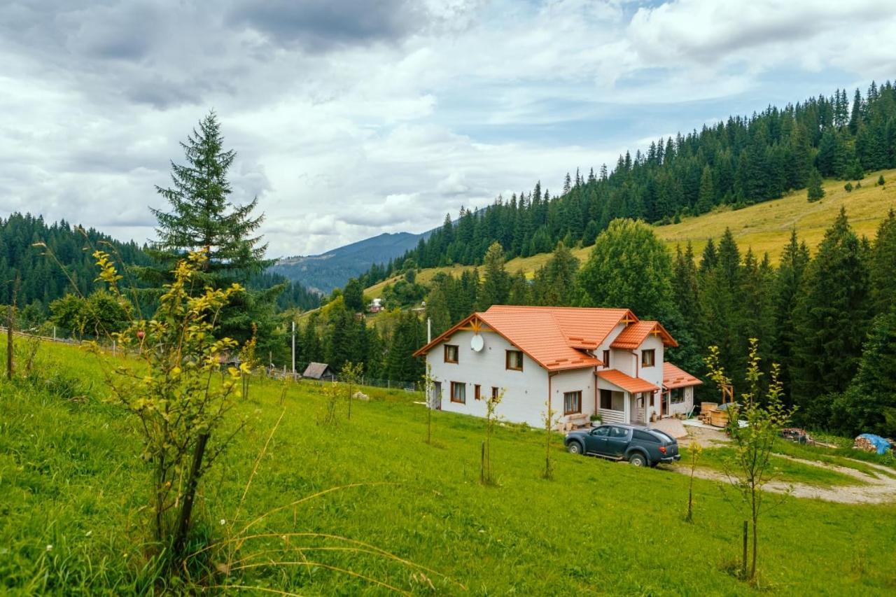 Khata Lisnyka Verkhovyna Esterno foto