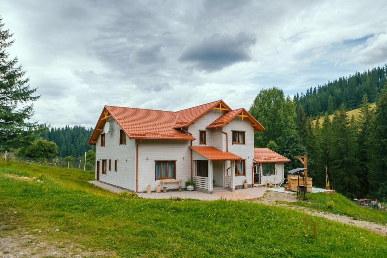 Khata Lisnyka Verkhovyna Camera foto